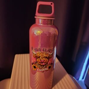 Pink Stainless Steel Water Bottle with Carrying Loop